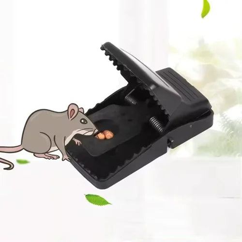 Mouse Trap